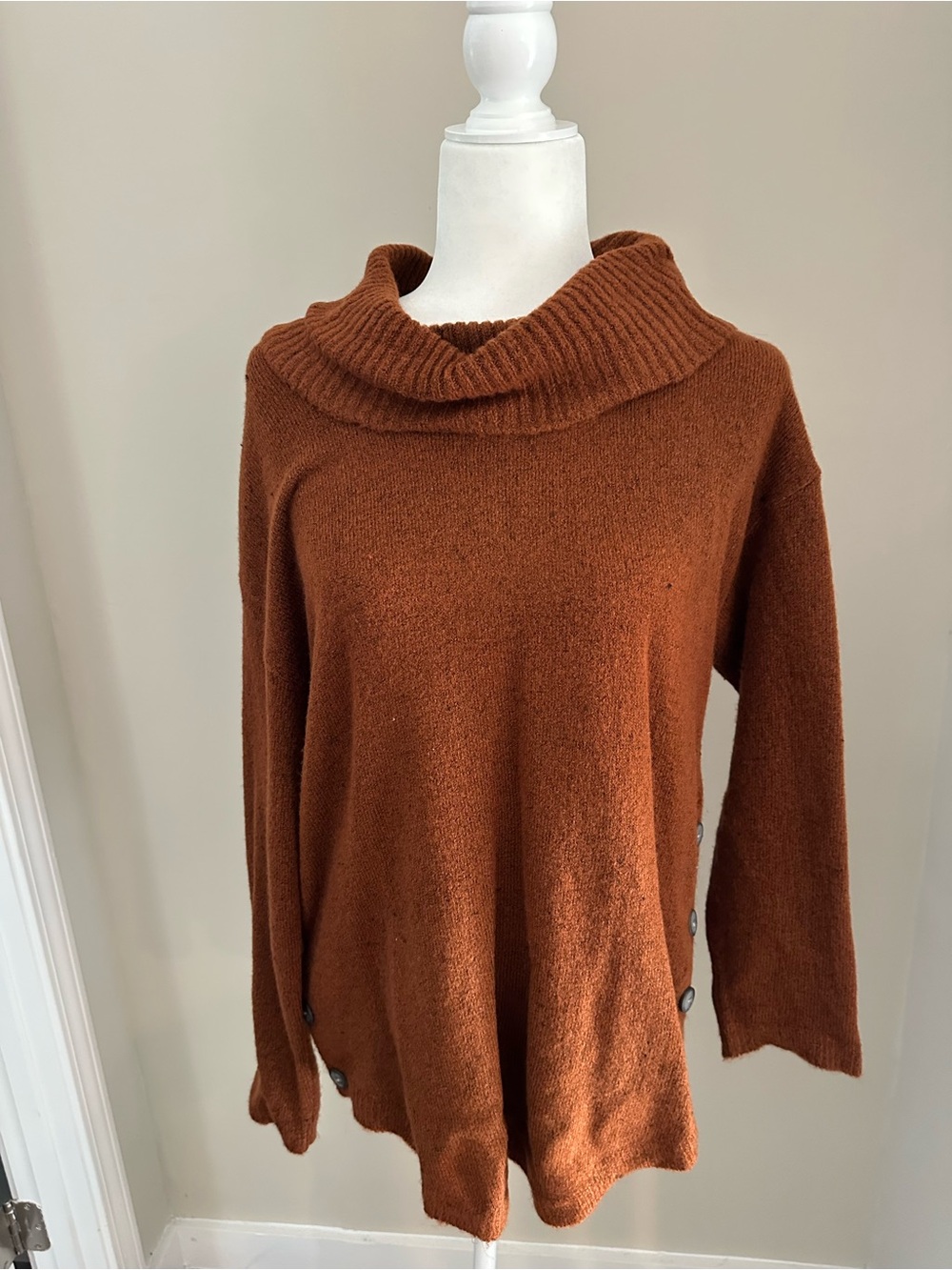 Cozy Cowl Neck Tunic Sweater in Rust